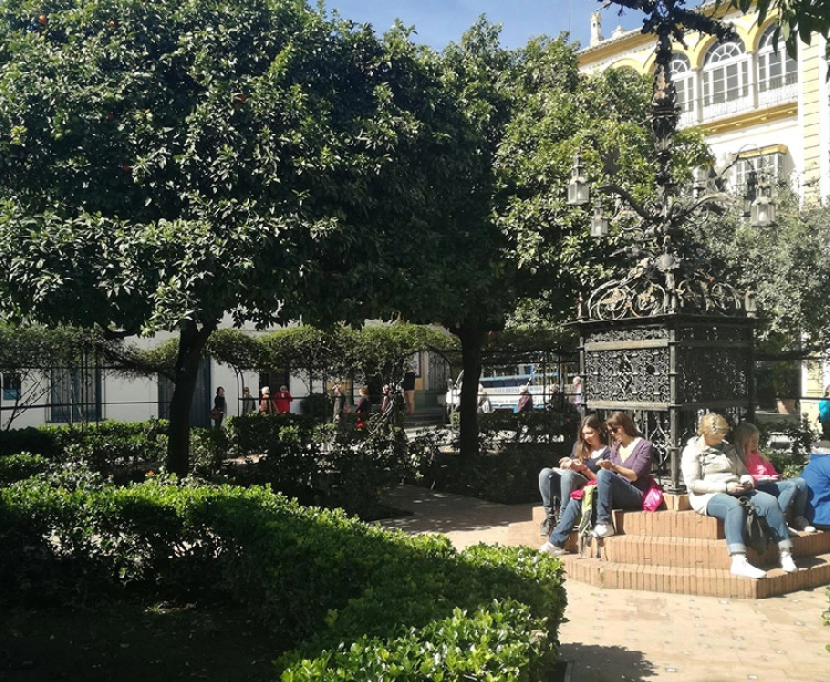 Private tour Barrio Santa Cruz
