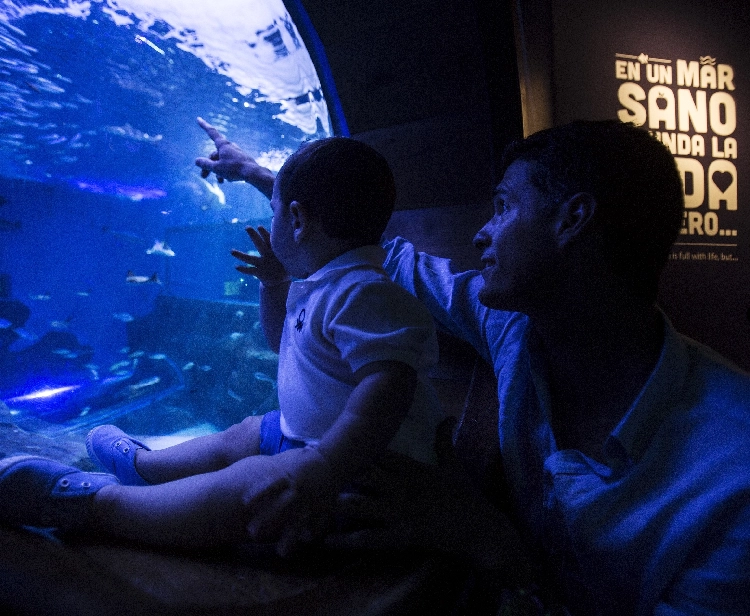 Acuario de Sevilla