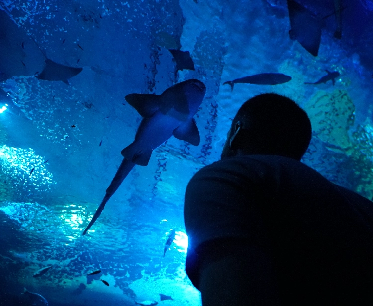 Acuario de Sevilla