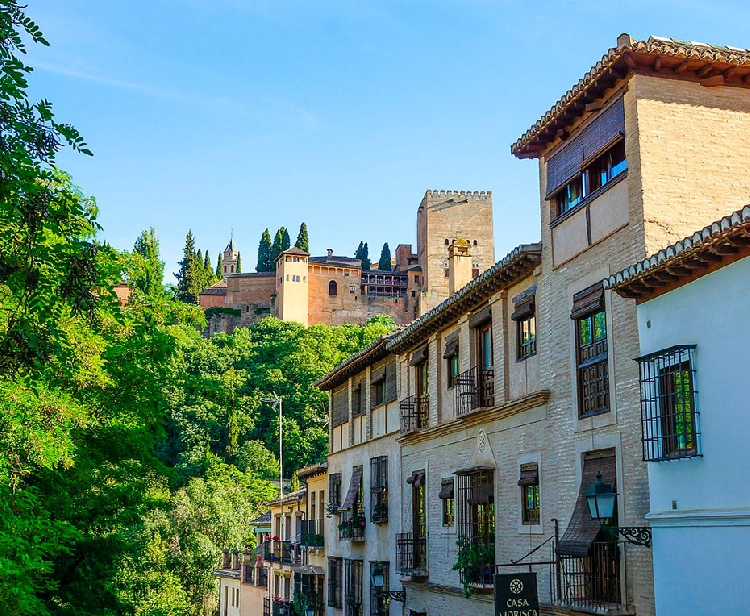 Tour privée à L´ Alhambra + Albaycin