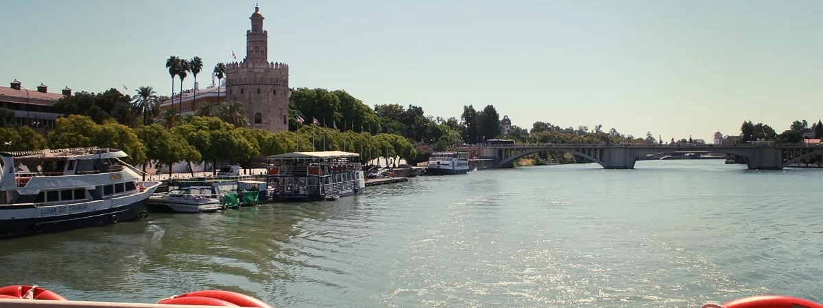 Tours in Seville