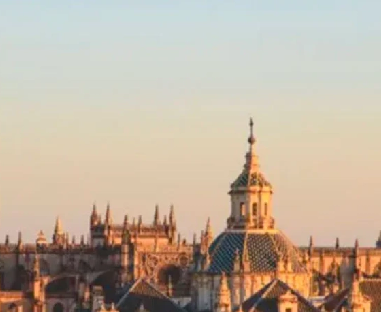 Visit the Seville Cathedral