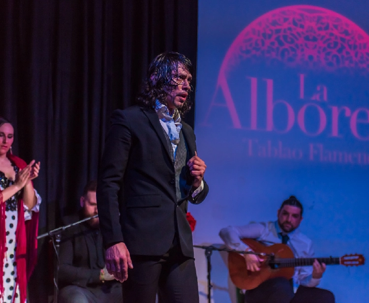 Flamenco nel Centro di Granada con Consumazione