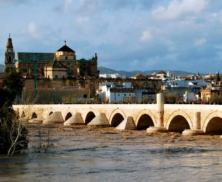 Escursione di un giorno da Siviglia a cordoba