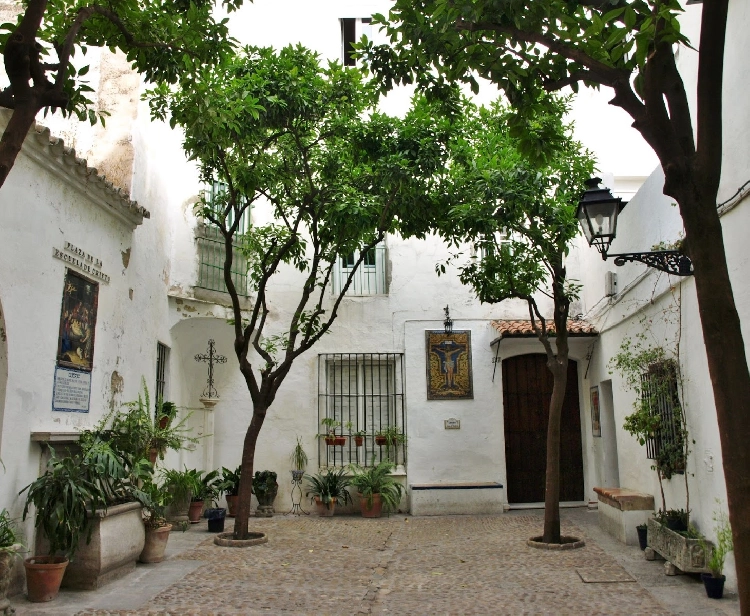 Tour gratuito e visita al quartiere di Santa Cruz